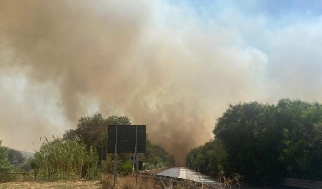 Emergenza incendi, Granata: "Indagini accurate su chi ha interesse a incendiare"