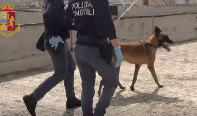 In casa marijuana e hashish: arrestato 30enne