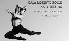 roberto bolle