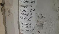 deiezioni