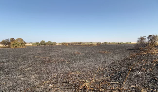 Incendi alla riserva naturale privata dei “Pantani Cuba e Longarini”: in cenere 21 ettari